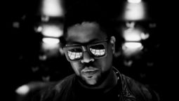 Felix da Housecat